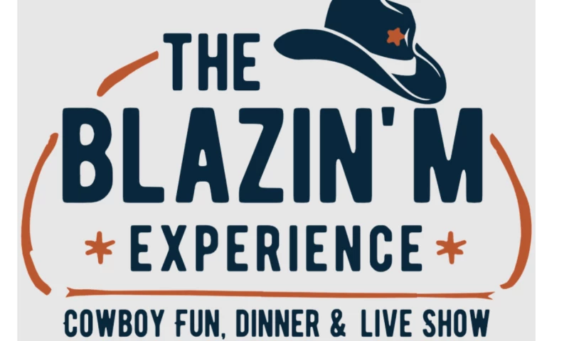 Yael Consulting - Frequent Updates, Dives Deep into Ad Accounts