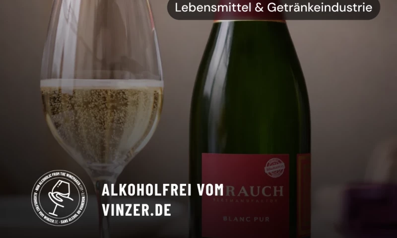 Von 0 auf 10.000 organische Besucher pro Monat