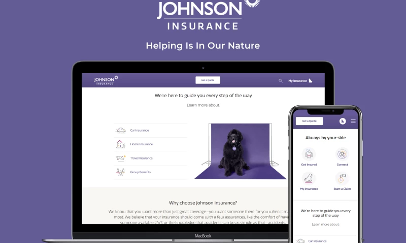 Idea Theorem - Johnson Insurance