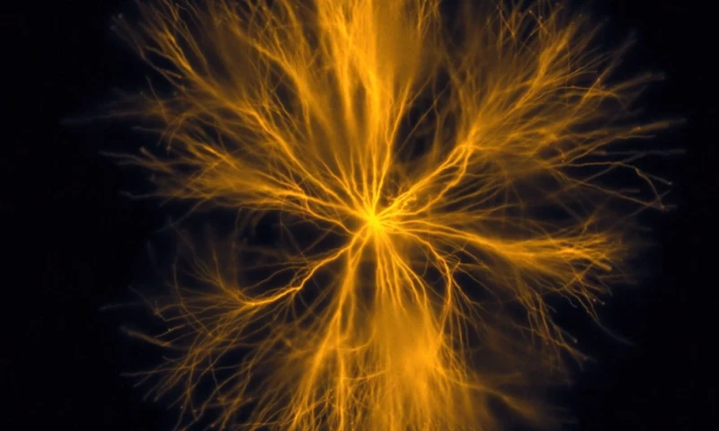 Para Creative Co. - GIANT Propel Advanced SL