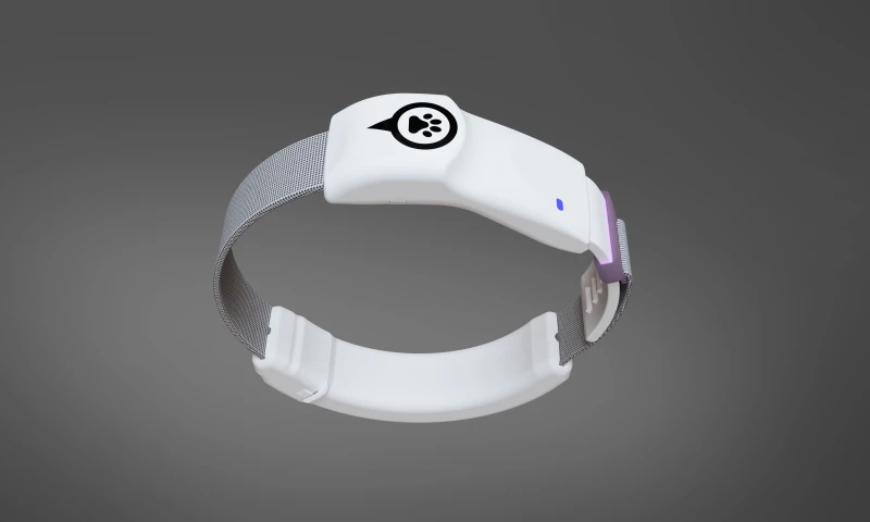 Flynn Product Design - Wearable GPS tracker