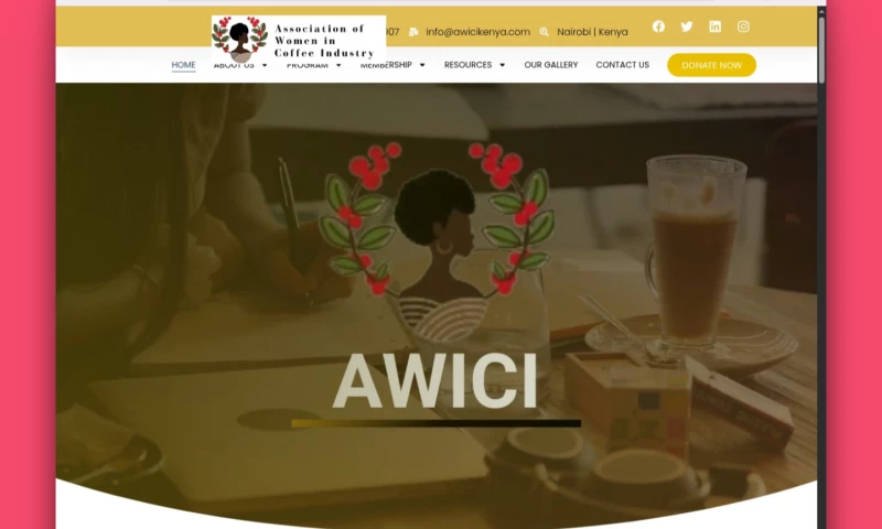 iTKenya Solutions Ltd - AWICI