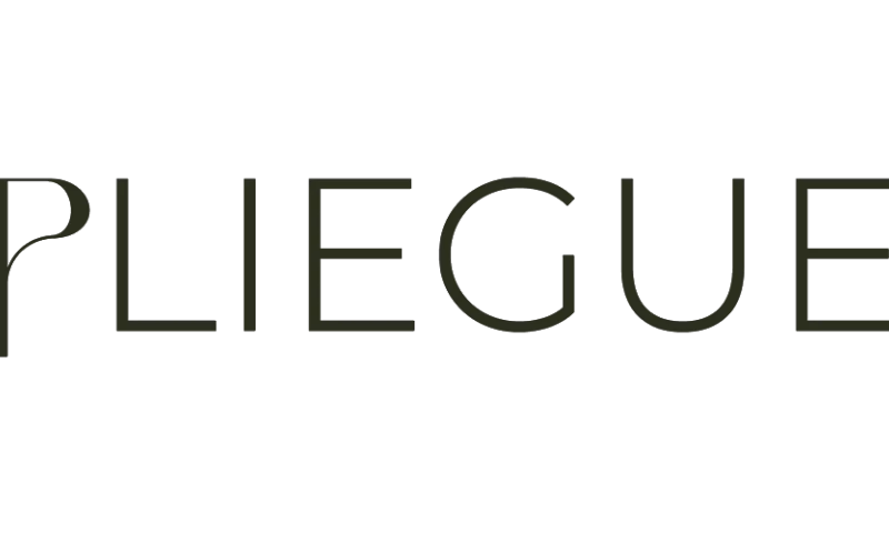 SW Software - Pliegue Studio