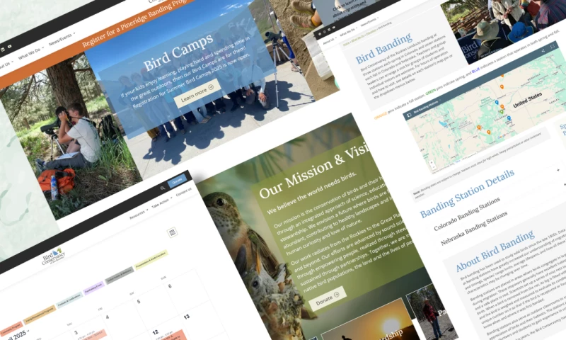 Branded Pixel - Non-Profit Website Design & Development