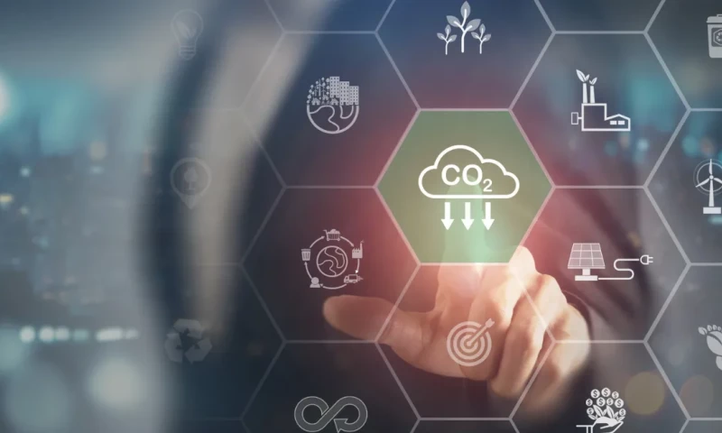 Six Feet Up - Modernizing a Carbon Credit Platform