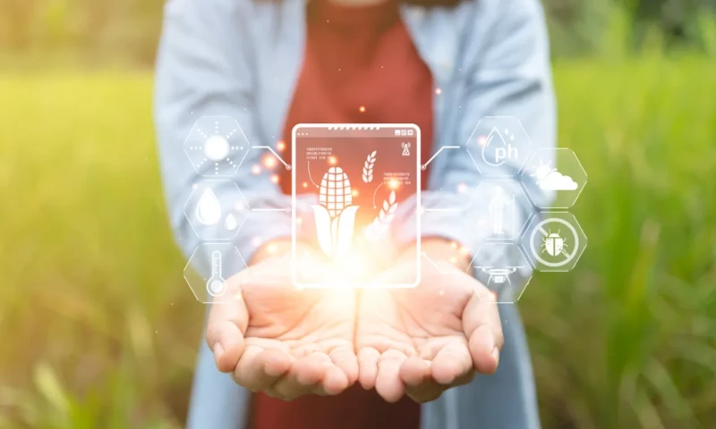 Six Feet Up - Transforming Agricultural Data with AI