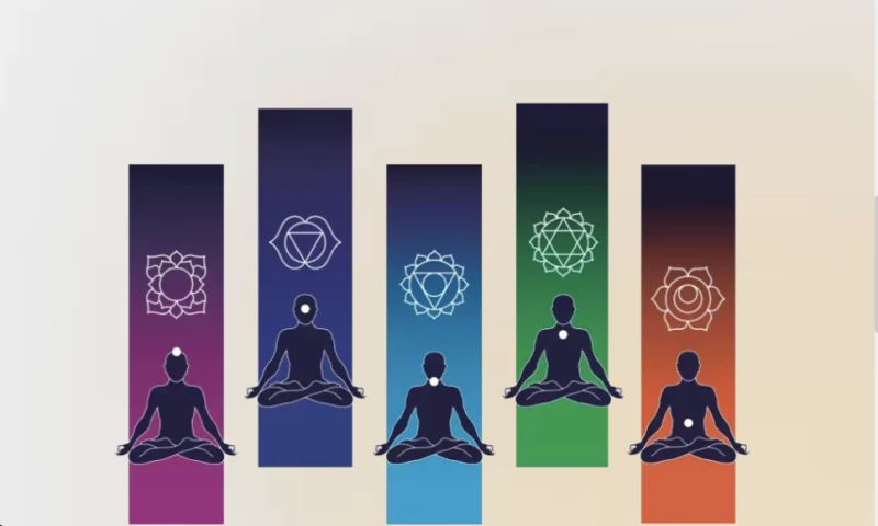 yuj - UX Design Company Pune - Enhancing Human Connection Through Digital Experience