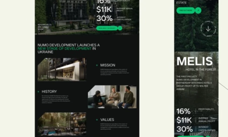 WebFlow Design and Development for Numo