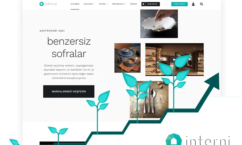 Magna Dijital Pazarlama Ajansı - İnterni - SEO Service, Content Marketing