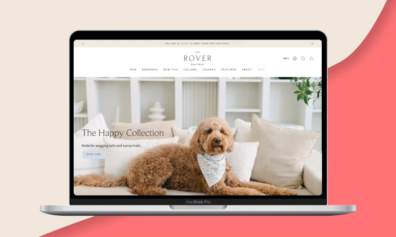 eCommerce Development Pros - The Rover Boutique