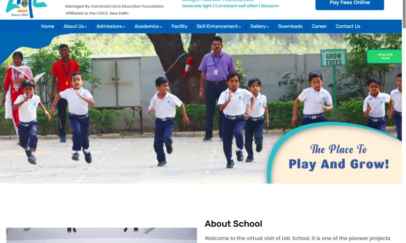 DNG Web Developer - lmlschool