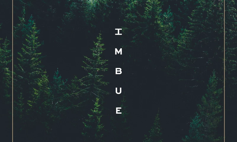 The End Creative Agency - Imbue Capital prospectus design