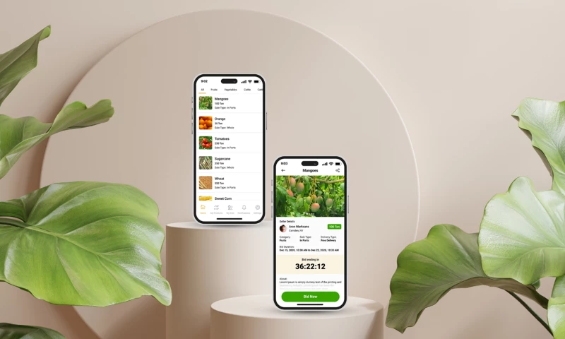 CodesClue Technologies LLP - Mazady