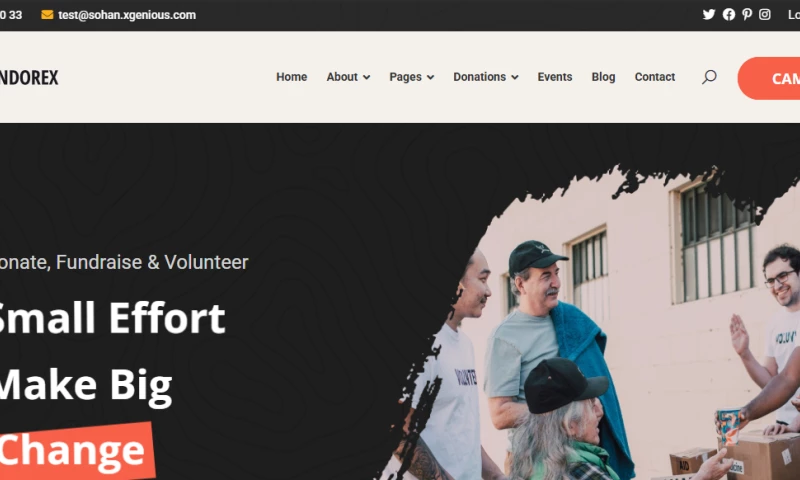 Website Developer Tech - NGO Website