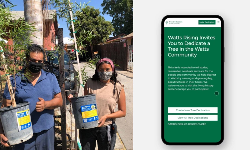 A Platform for Community Tree Planting