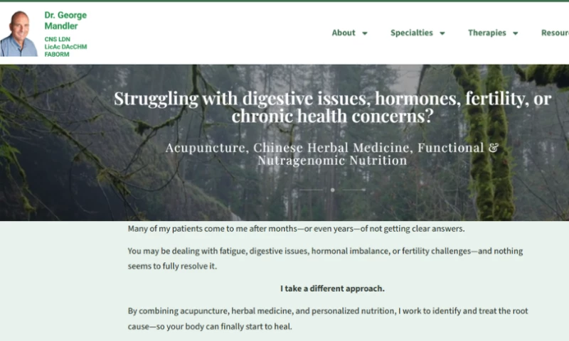 Dev Mamun - WordPress Website for Acupuncture & Nutrition Practice