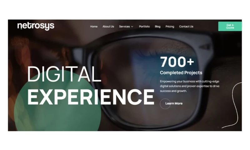 9mills - Netrosys website development