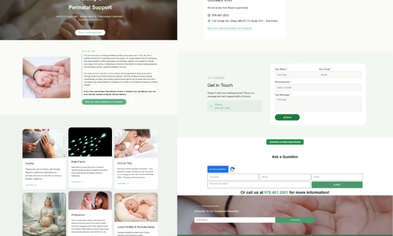 Dev Mamun - TCM Fertility & Perinatal WordPress Website Redesign