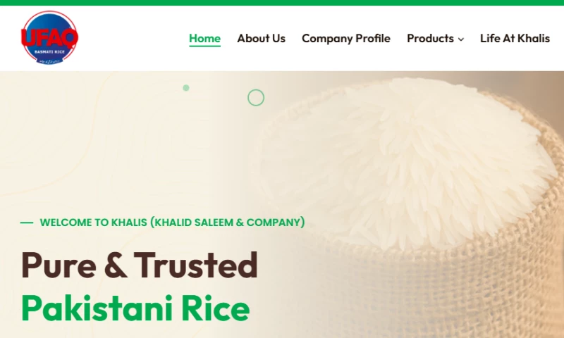 Interactive Media - Ufaq Rice