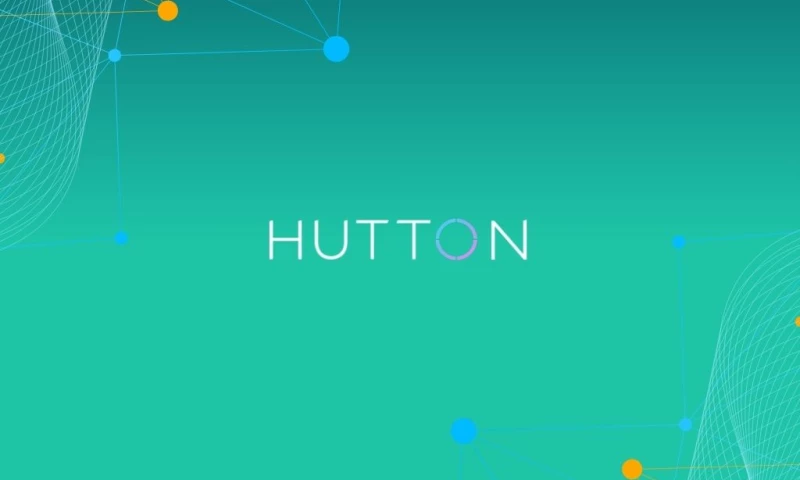 Sereno IT - The IT Relationship Hutton Consulting Was Looking For