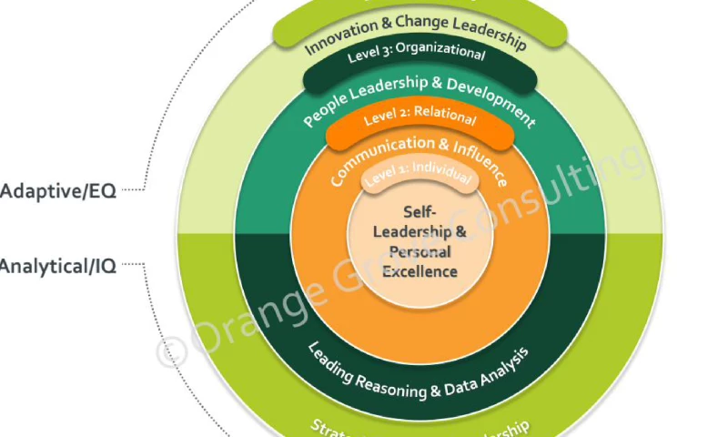 Orange Grove Consulting - OGC Leadership Development Program