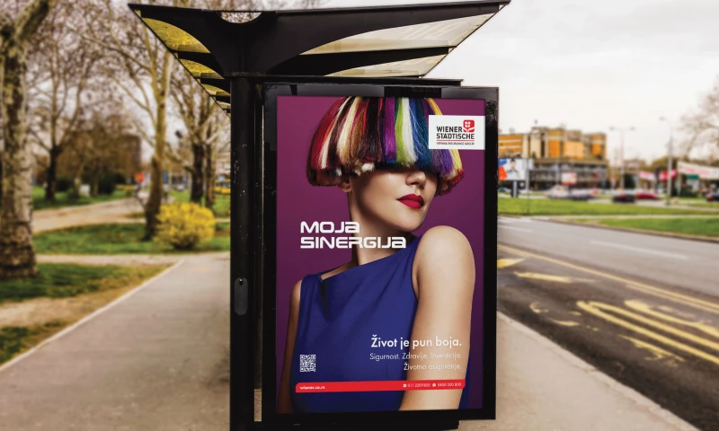 Jungle Creatives - Moja Sinergija: Branding