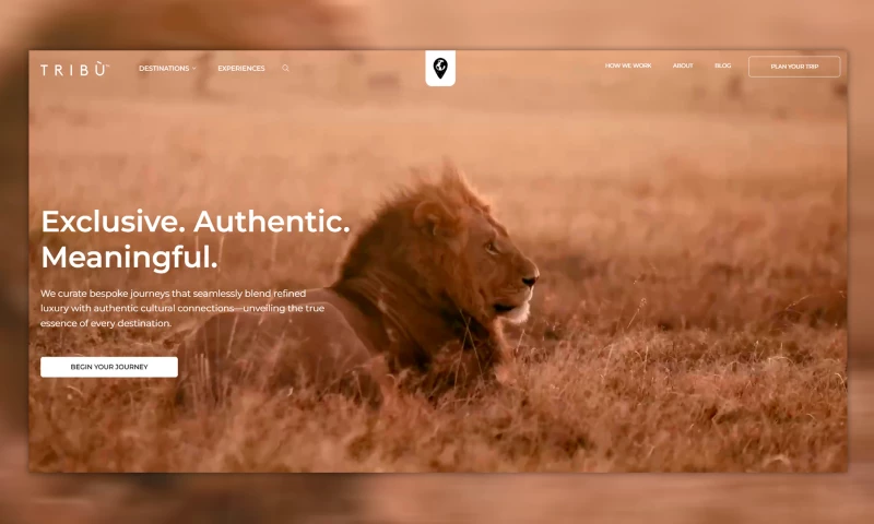 Luxury Travel Platform Build for Tribu Travel