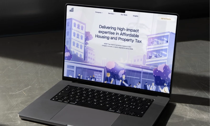 Duo Studio - MGNY Consulting Website Design and Illustrations