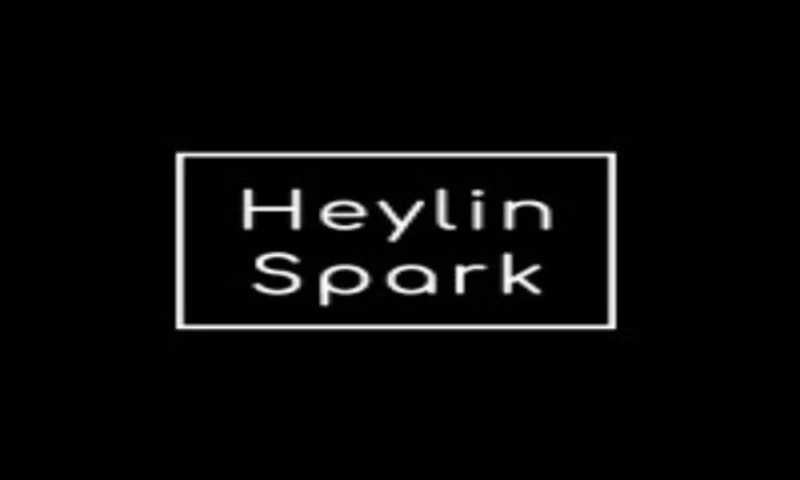 The Digitor - Heylin Spark Website SEO