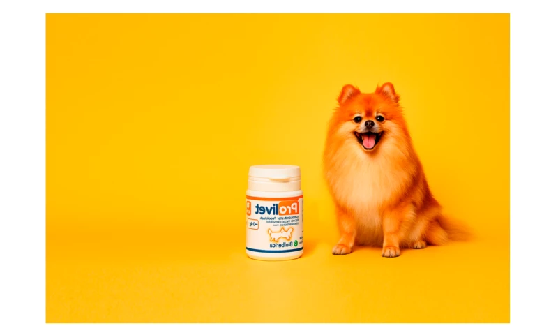 Agencia Amazon 360 - Mascotas Real