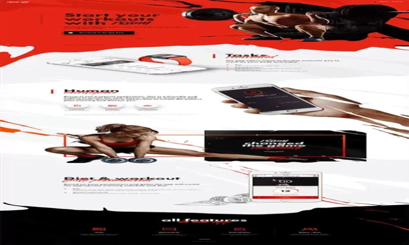 The Designs LLC - Work Out