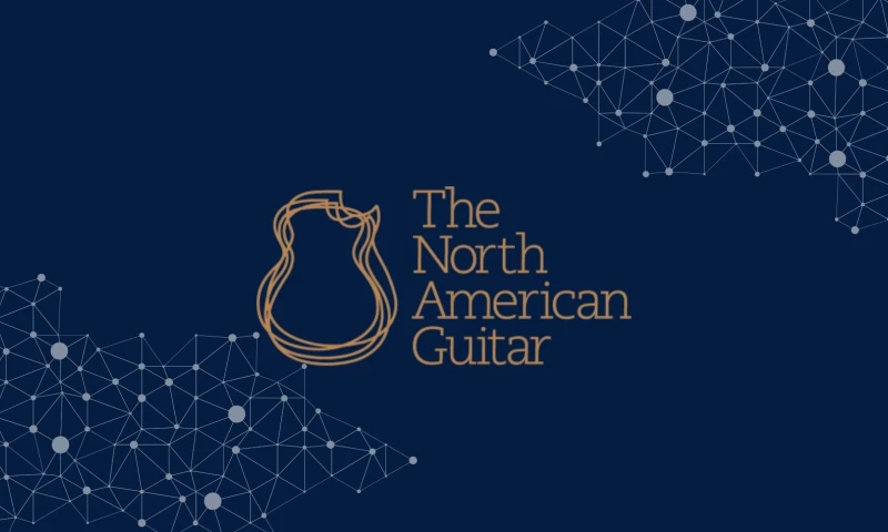 Microsoft Migration, VOIP & IVR Rollout for Vintage Guitar Retailer