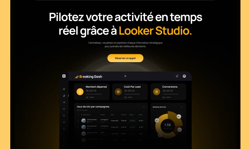 Nexila Agency - Looker Studio