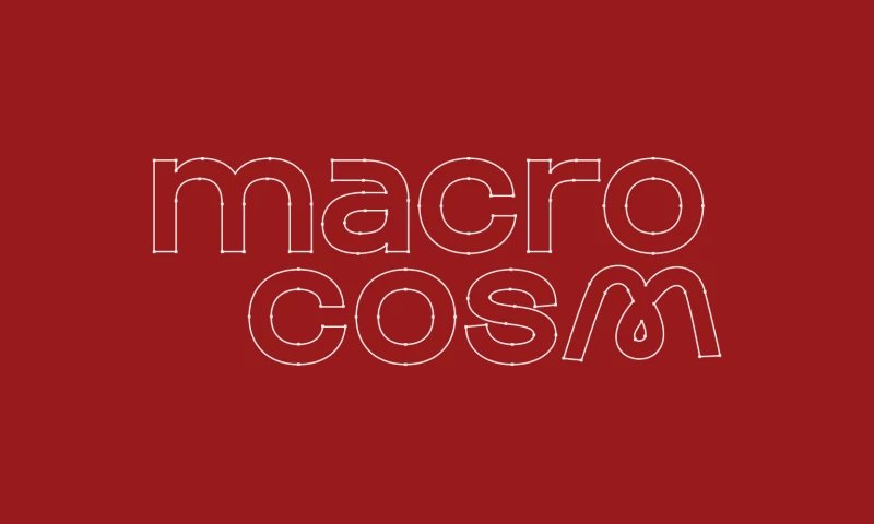 Hogi - Macrocosm | Branding & Digital Identity
