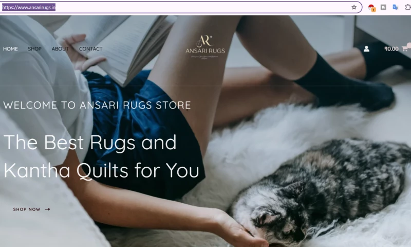 Marketer Ape - Ansari rugs