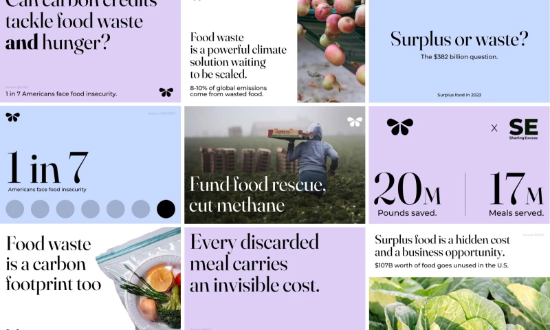 Bolder Agency - Brand Strategy and Visual Identity