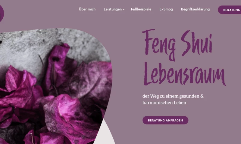 Web Experts Nepal - Minimal WordPress website for clarity and balance