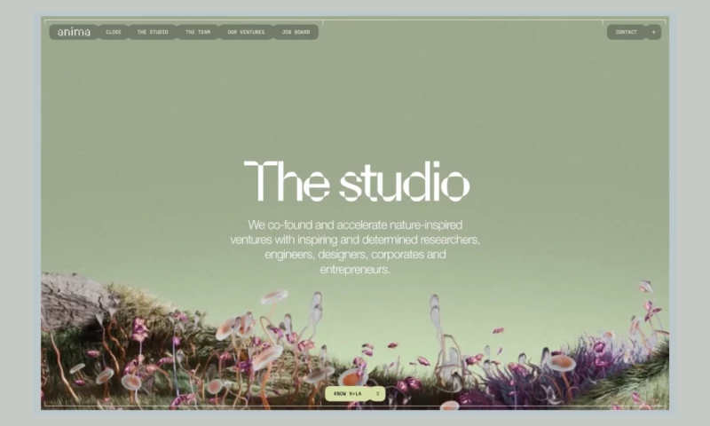 Beaucoup Studio - Anima