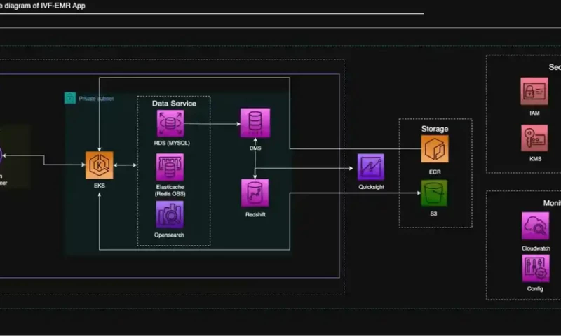 HyScaler - AWS-Powered Specialty Clinic EMR Development & Patient Engagement Platform