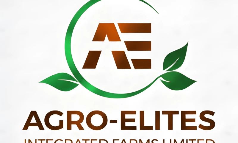 Andybext Technology - agroelites integrated web design