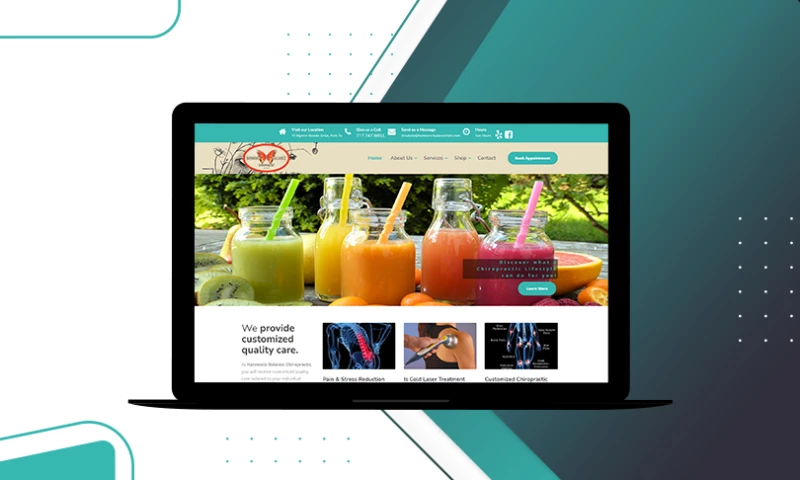 Eco York - Harmonic Balance Chiropractic - Eco York Portfolio