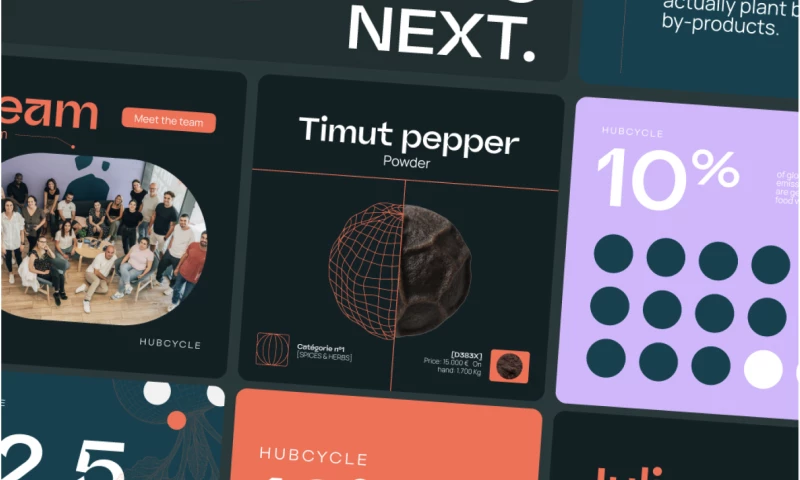 Treize grammes - Hubcycle Rebranding & Webflow Website