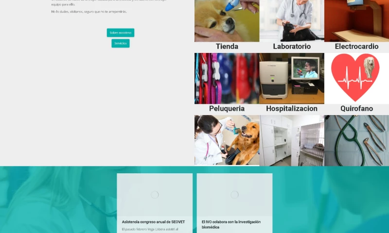 Navarra Marketing - Clínica veterinaria ibaia