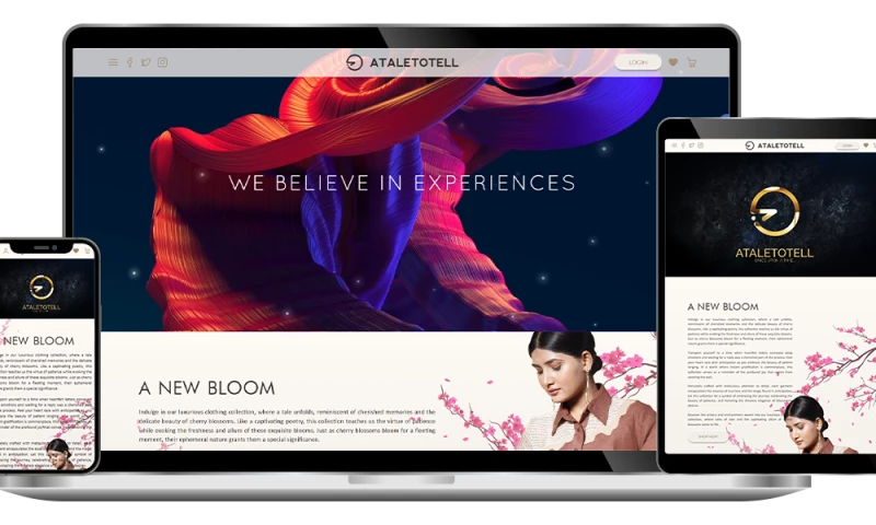 Adeeshi Solutions - Ecommerce Website Development for Premium Fashion Brand