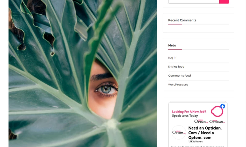 ZeroPoint Creative Ltd - NeedAnOptom.com Recruitment Platform Digital Presence