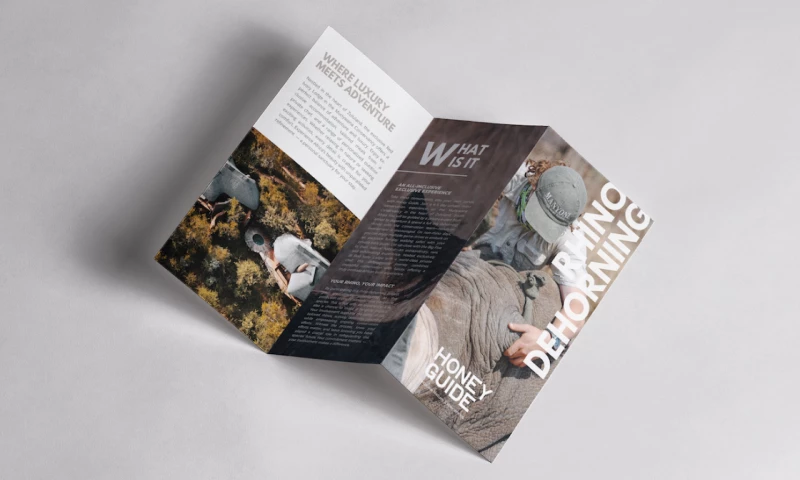 Legs Brands - Luxury Safari Brand & Website Design