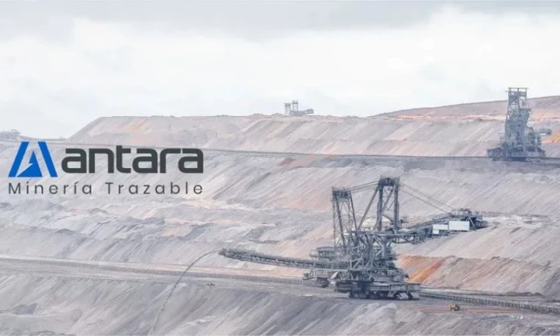 Bigbuda Inc - Antara — International Web Design & Development