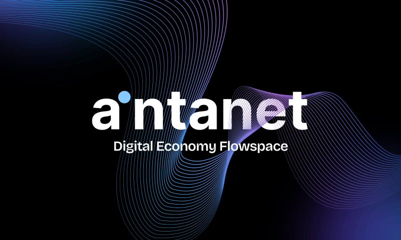 Digitally Hatch - Pitch Deck & Brand Presentation for Aintanet