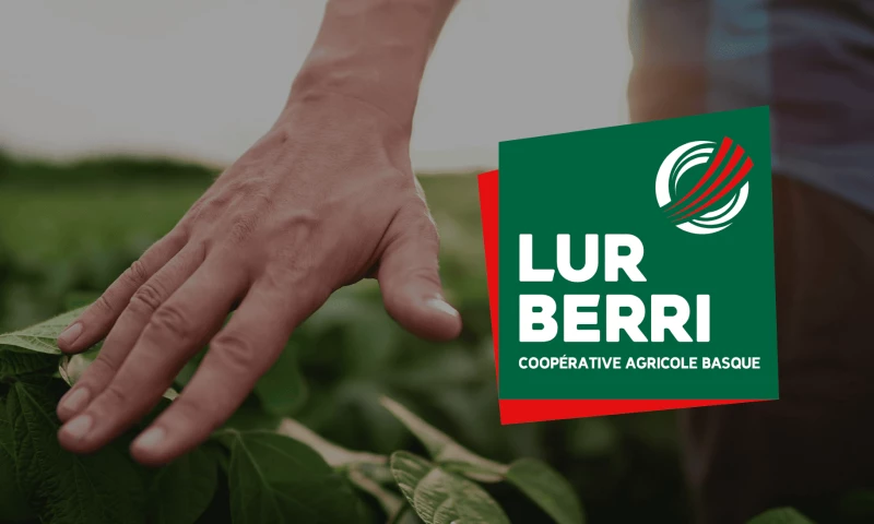 Groupe Zebra - Lur Berri