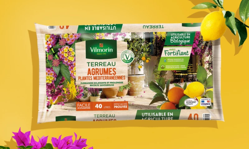 Groupe Zebra - Vilmorin